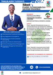 NYE_Oyo_Oluwadamilola_Ogundele